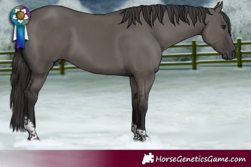 Horse Color:Pseudo Smoky Grullo Dun Tobiano Rabicano