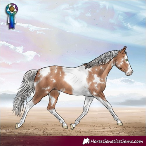 Horse Color:White Spotted Silver Amber Champagne Splash Tobiano