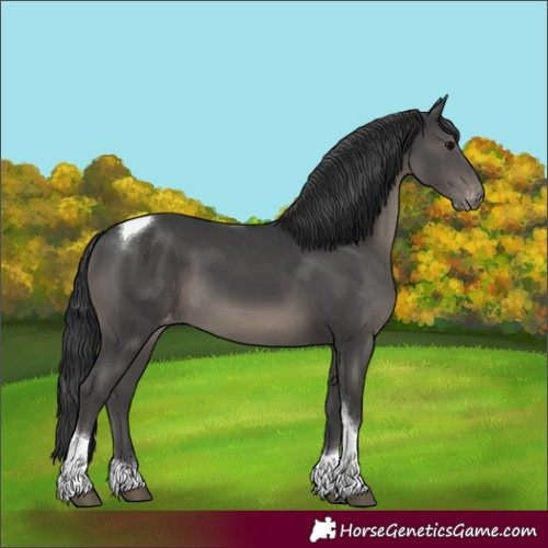Horse Color:Black Tobiano Varnish 