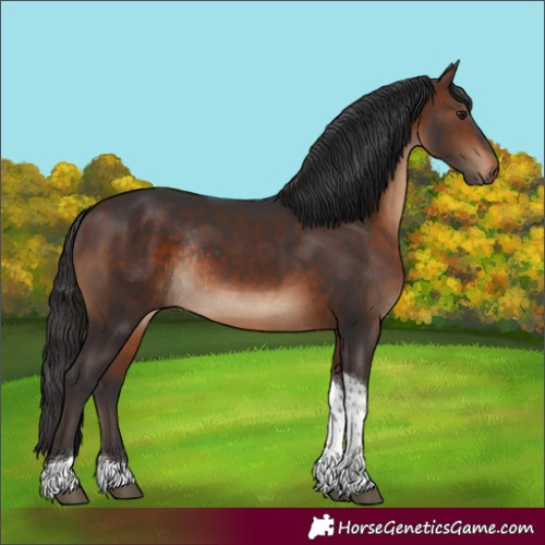 Horse Color:Brown Tobiano Rabicano 