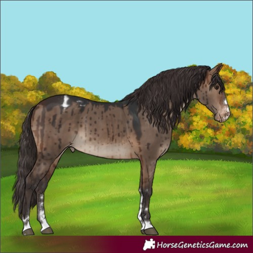 Horse Color:Brown Dun Varnish Brindle 