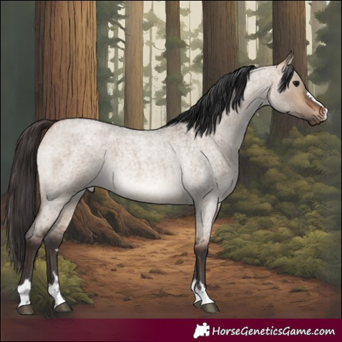 Horse Color:Bay Roan Dun 