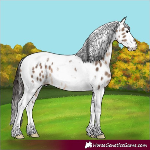 Horse Color:Brown Dun Tobiano Leopard Brindle 