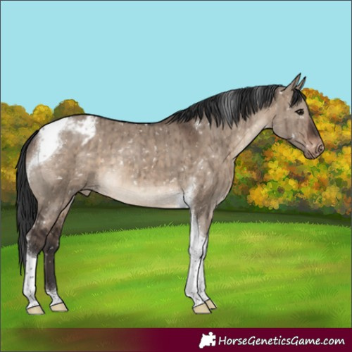 Horse Color:Brown Dun Tobiano Blanket Brindle 