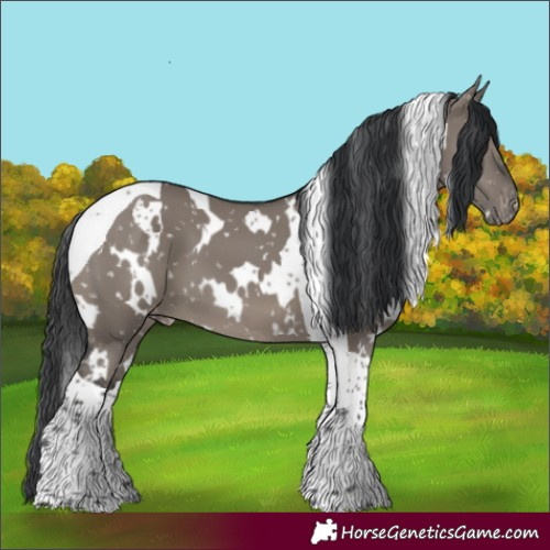 Horse Color:White Spotted Grullo Tobiano Snowflake Varnish 