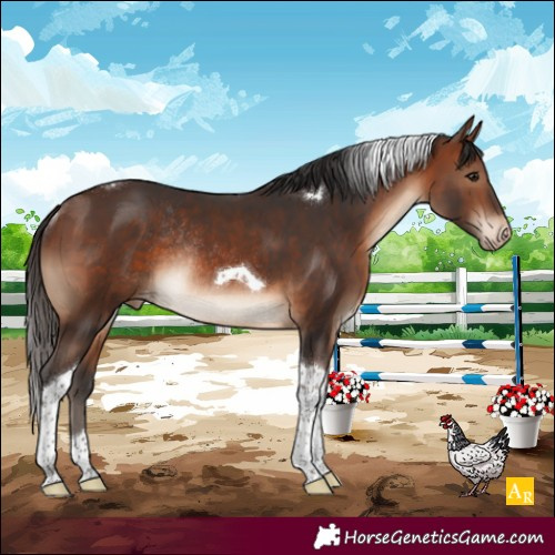 Horse Color:Brown Tobiano Varnish Rabicano