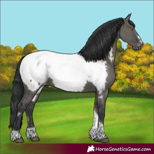 Horse Color:Grullo Tobiano Near Fewspot
