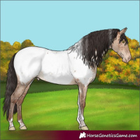 Horse Color:Sable Champagne Dun Tobiano Near Fewspot Brindle 