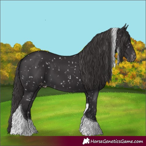 Horse Color:Smoky Black Tobiano Skewed LP Spotted