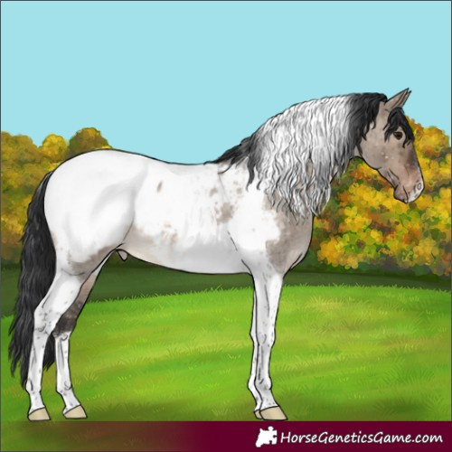 Horse Color:Brown Roan Dun Tobiano Near Fewspot Brindle 