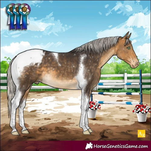 Horse Color:Silver Buckskin Tobiano Blanket 