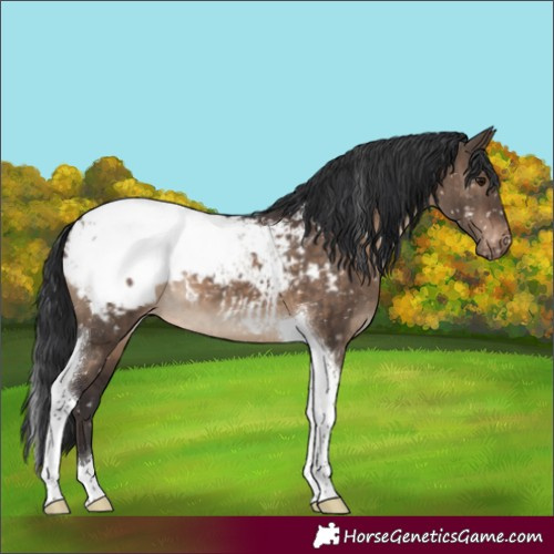 Horse Color:Brown Dun Tobiano Snowcap Brindle