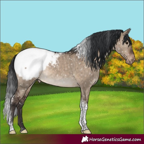 Horse Color:Brown Dun Tobiano Snowcap Brindle 