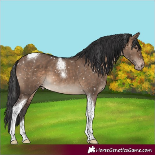 Horse Color:Brown Dun Tobiano Snowflake Varnish 