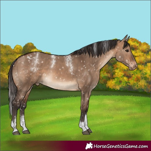 Horse Color:Powder White Brown Dun Tobiano Snowflake Varnish