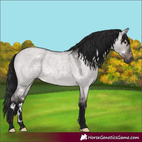 Horse Color:Gray Platinum White Spotted Brown Roan Dun Rabicano 