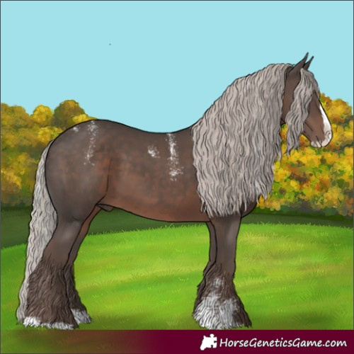 Horse Color:Powder White Silver Black Splash 