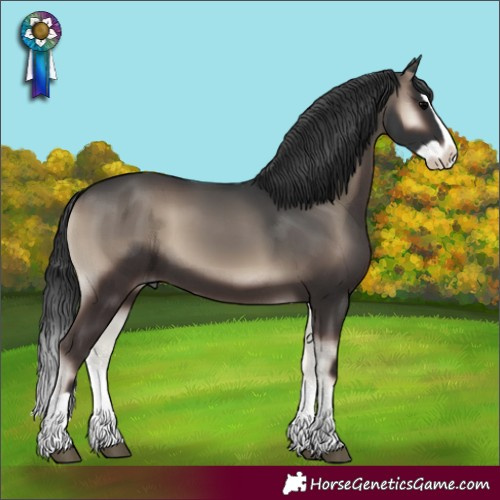 Horse Color:Blue Onyx Splash