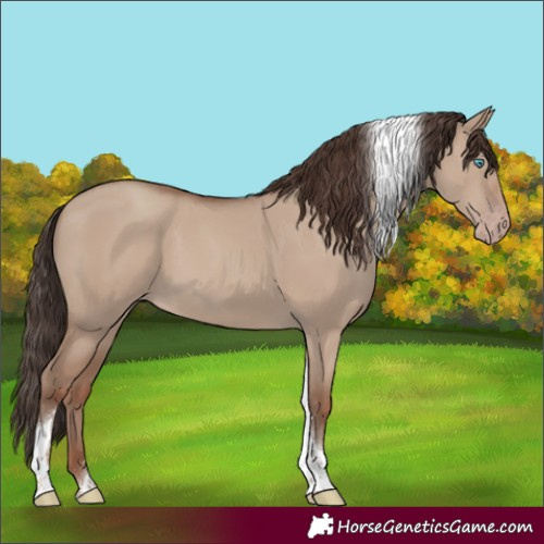 Horse Color:Classic Champagne Dun Tobiano 