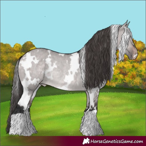 Horse Color:Platinum White Spotted Bay Dun Varnish Rabicano
