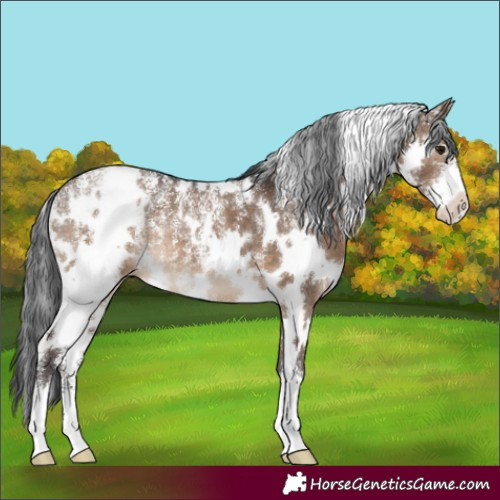 Horse Color:Powder White White Spotted Brown Dun Varnish