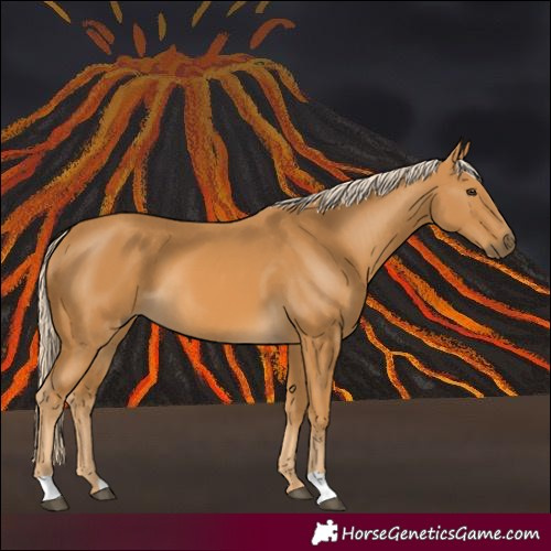 Horse Color:Palomino