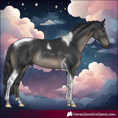 Horse Color:Black Mushroom Tobiano Rabicano 