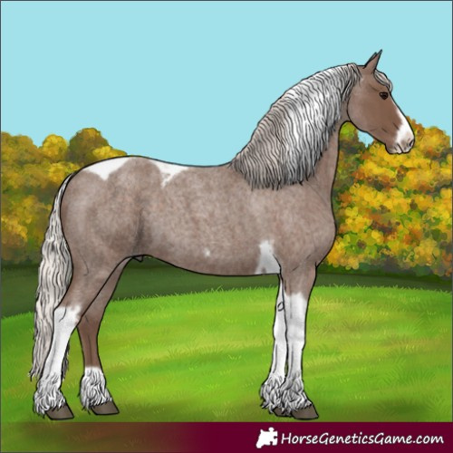 Horse Color:Silver Blue Roan Tobiano Frame 