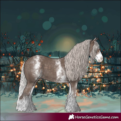 Horse Color:White Spotted Silver Black Splash