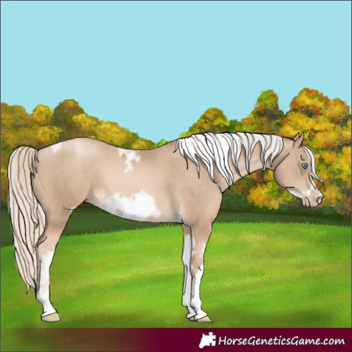 Horse Color:Chocolate Palomino Pearl Tobiano Frame and Chocolate Palomino Pearl Splash Tobiano Frame