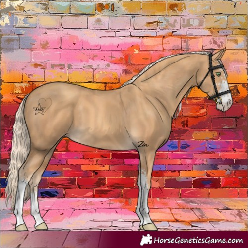 Horse Color:Gold Cream Champagne Sabino 