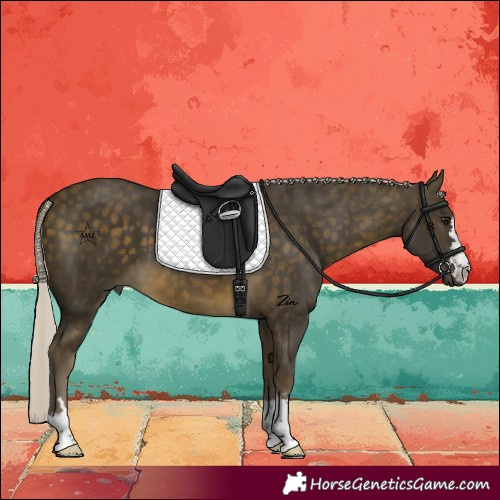 Horse Color:Silver Buckskin