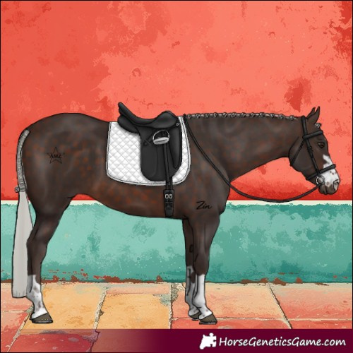 Horse Color:Silver Brown 