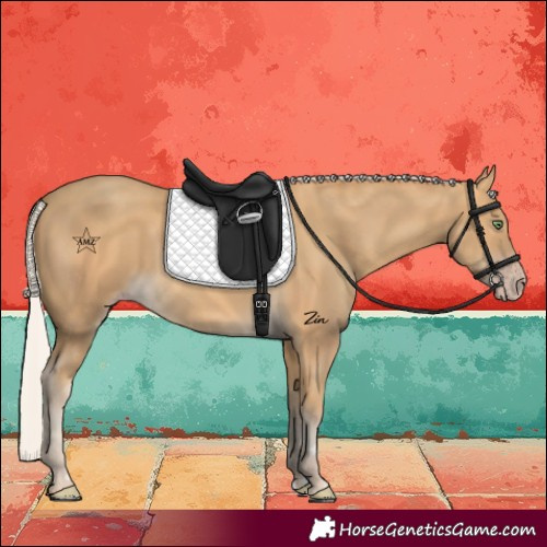 Horse Color:Silver Sable Cream Champagne