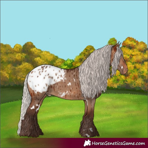 Horse Color:White Spotted Silver Bay Dun Blanket Brindle