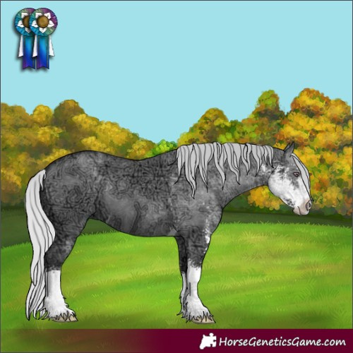 Horse Color:Silver Grullo Chinchilla Ice Sabino 