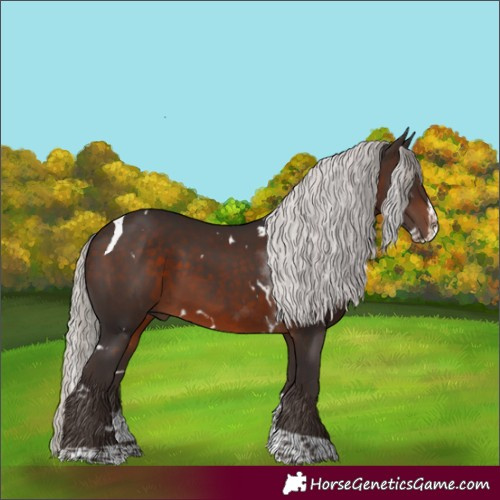 Horse Color:White Spotted Silver Brown Splash Tobiano 