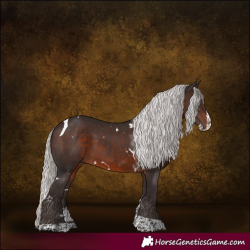 Horse Color:White Spotted Silver Brown Splash Tobiano 