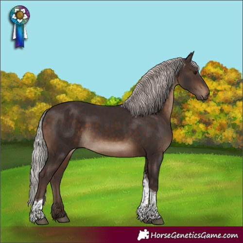 Horse Color:Silver Brown Tobiano