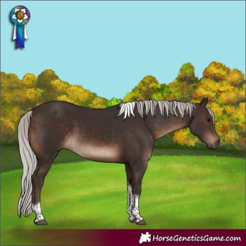 Horse Color:Silver Brown Tobiano 