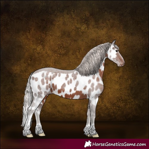 Horse Color:Silver Brown Tobiano Skewed LP Spotted 
