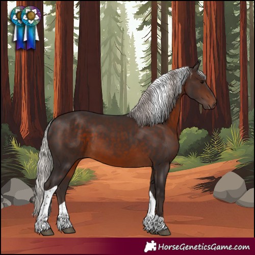 Horse Color:Silver Brown Tobiano 