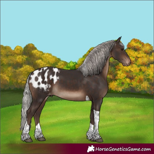 Horse Color:Silver Brown Tobiano Blanket 