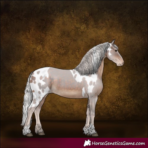 Horse Color:Silver Brown Tobiano Skewed LP Spotted