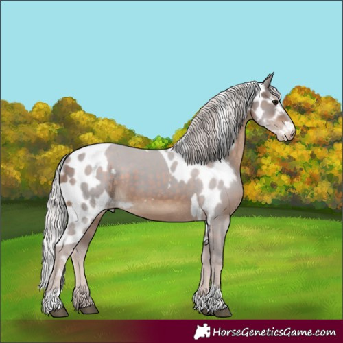 Horse Color:Silver Brown Tobiano Skewed LP Spotted