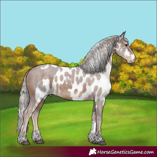 Horse Color:Silver Brown Tobiano Skewed LP Spotted 