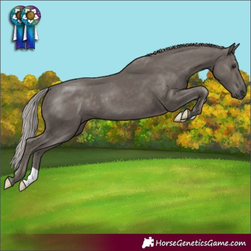 Horse Color:Silver Black