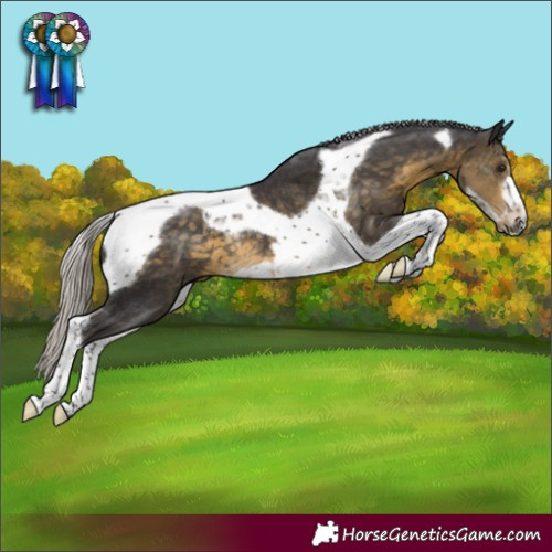 Horse Color:Silver Smoky Black Tobiano Frame Rabicano 
