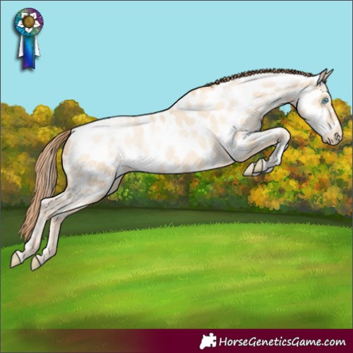 Horse Color:Sable Cream Champagne Pearl Sabino Tobiano Near Leopard Rabicano