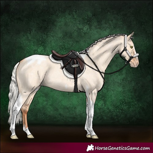 Horse Color:Silver Classic Champagne Roan Dun Splash Tobiano Frame Blanket Rabicano 